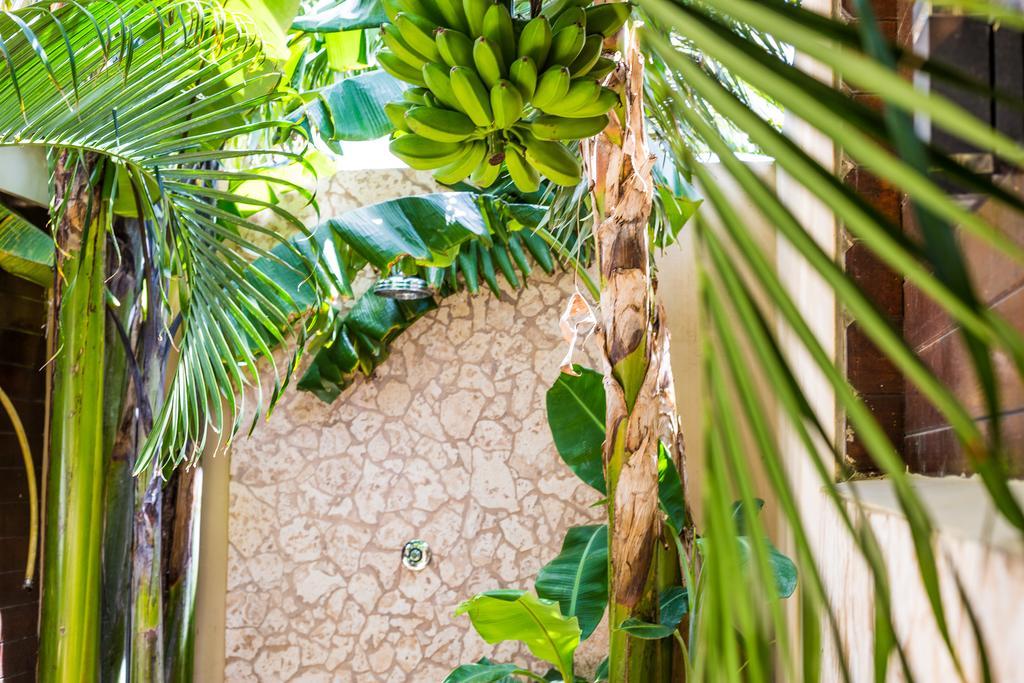 Bamboo Bonaire By Boutique Bonaire Unique Resorts Playa Esterno foto